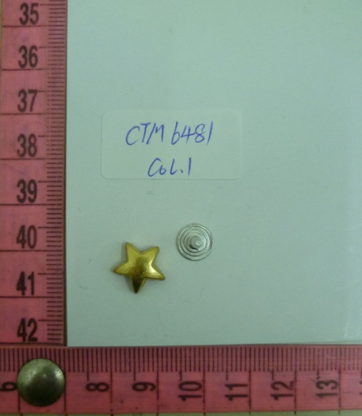 CTM6481