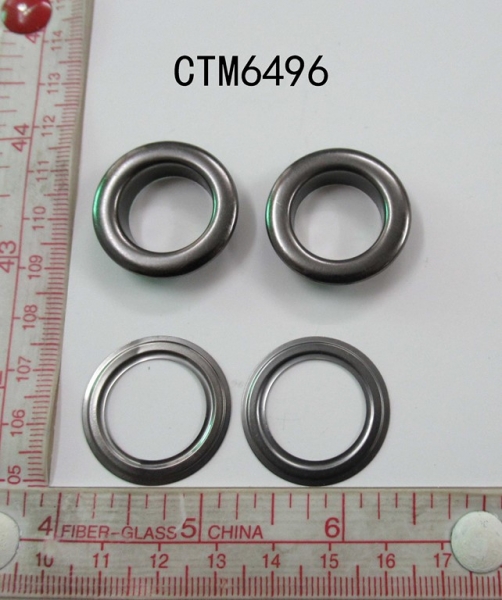 CTM6496