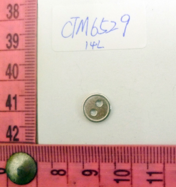 CTM6529