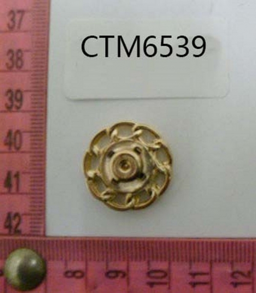 CTM6539