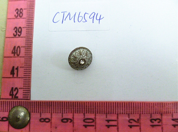 CTM6594