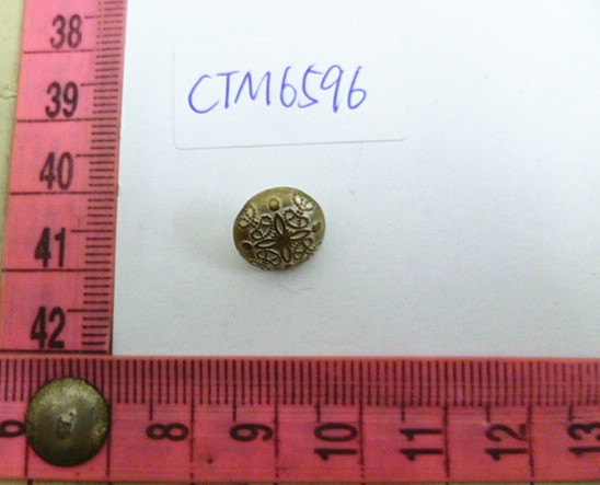 CTM6596