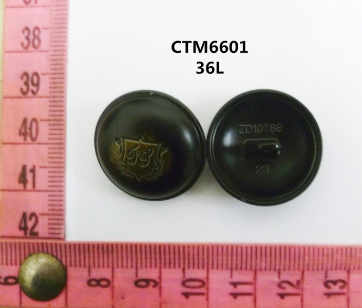 CTM6601