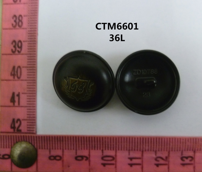 CTM6601