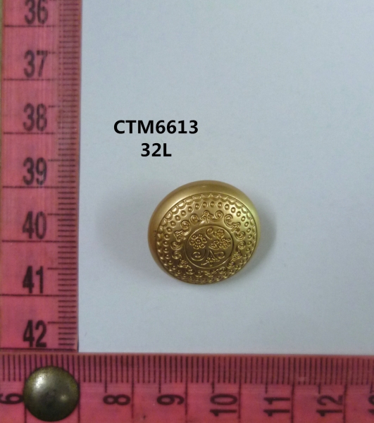 CTM6613