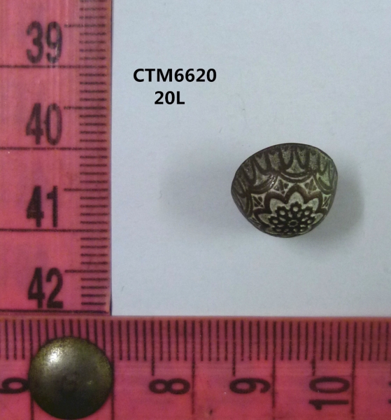 CTM6620
