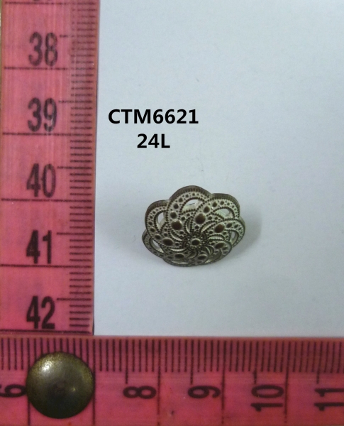 CTM6621