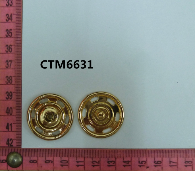 CTM6631