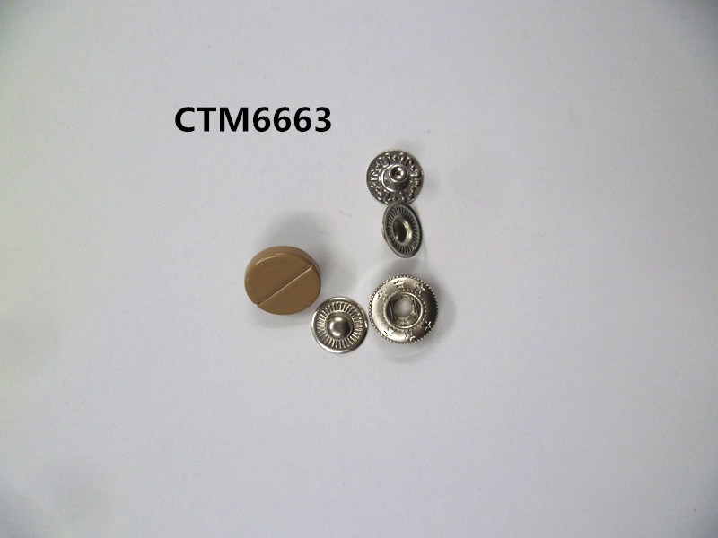 CTM6663