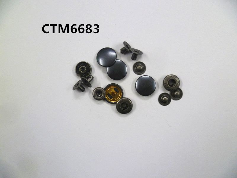 CTM6683