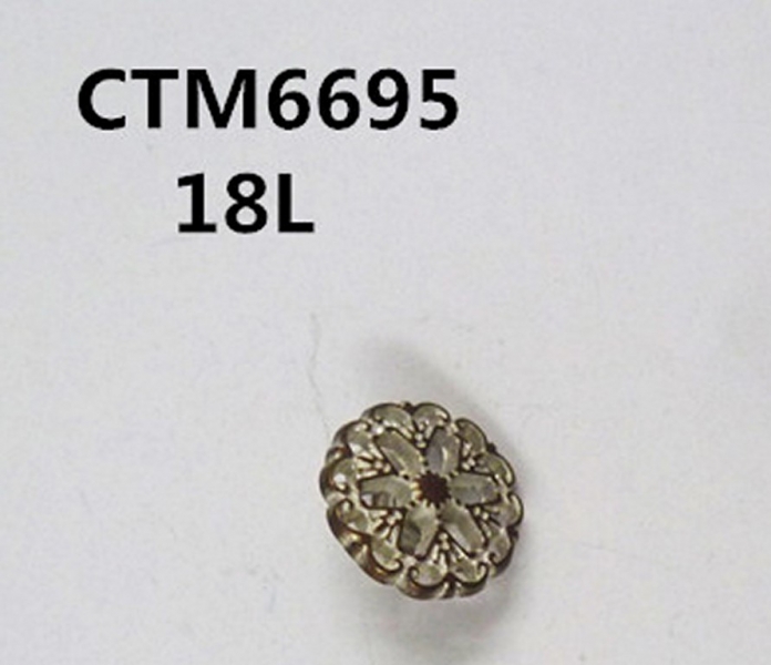 CTM6695