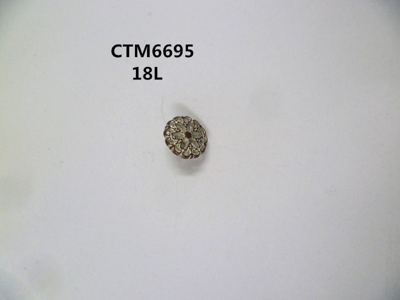 CTM6695