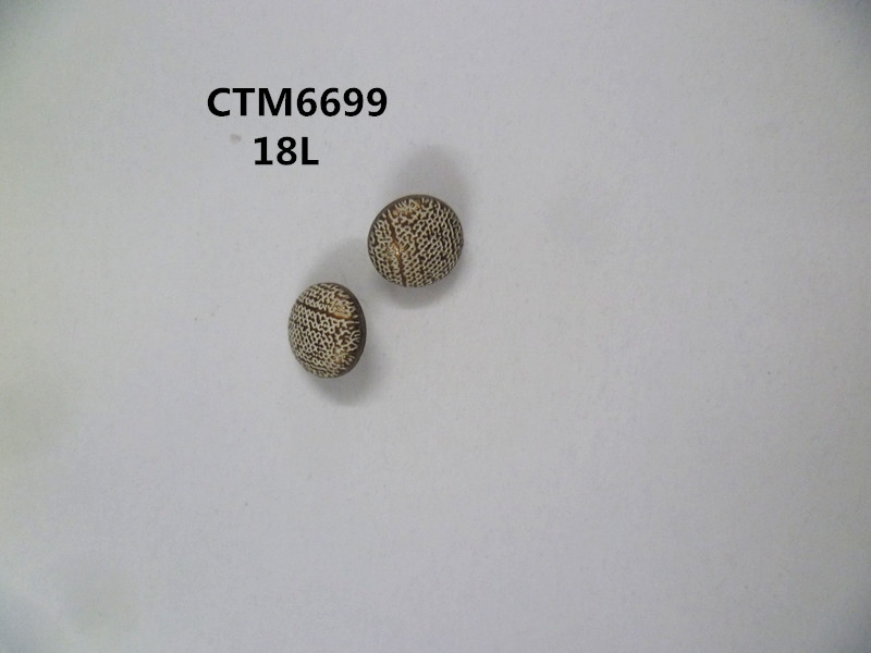 CTM6699