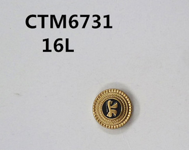 CTM6731