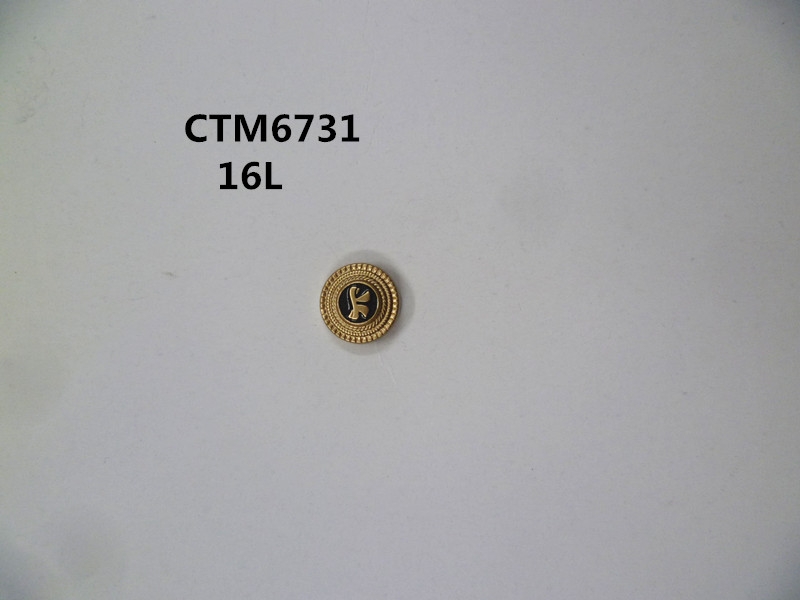 CTM6731