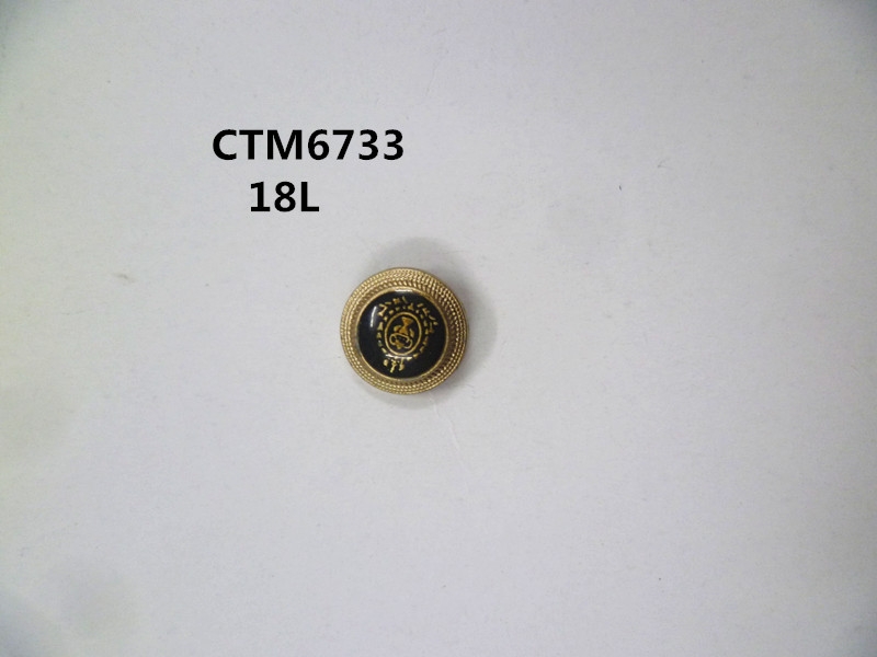 CTM6733