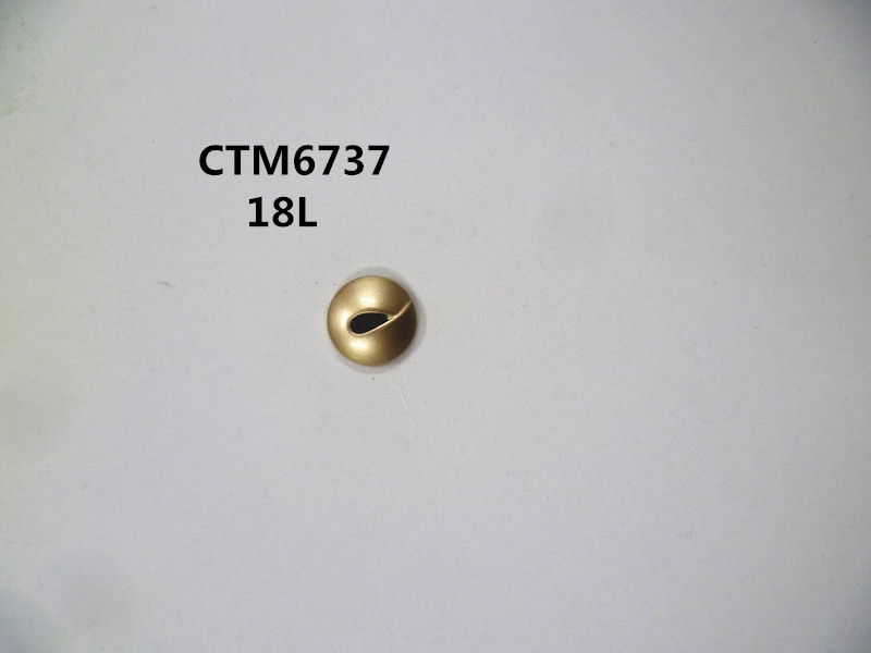 CTM6737
