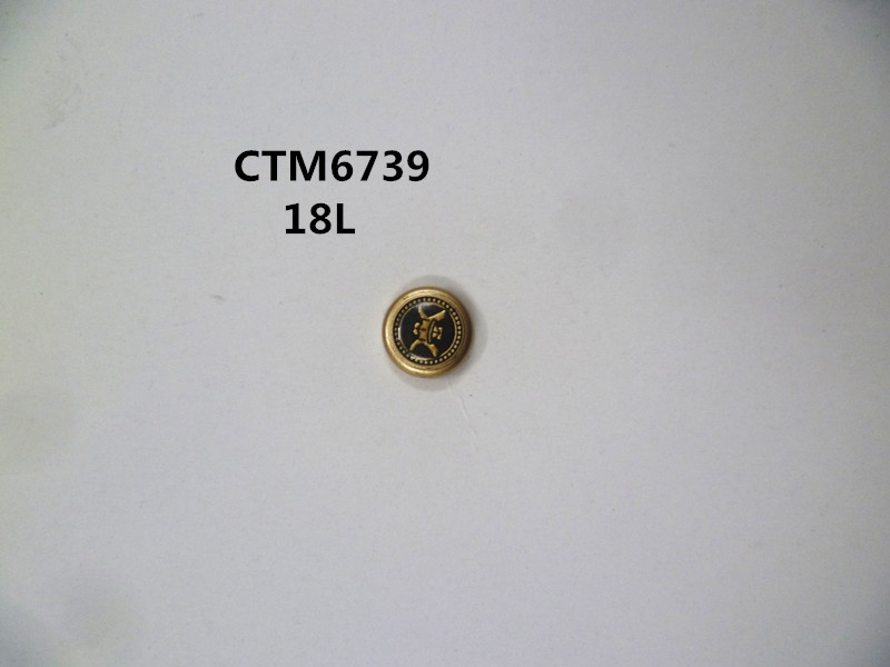CTM6739