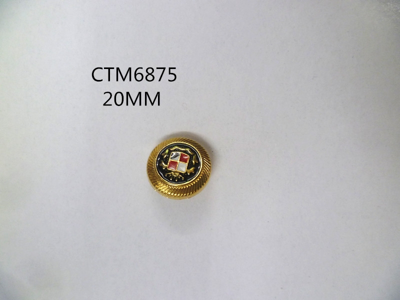 CTM6875