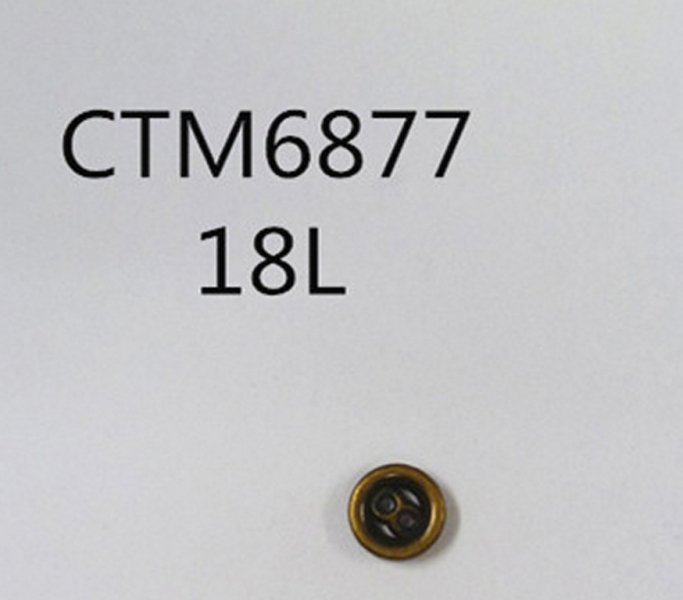 CTM6877