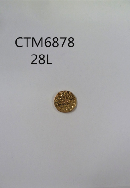 CTM6878