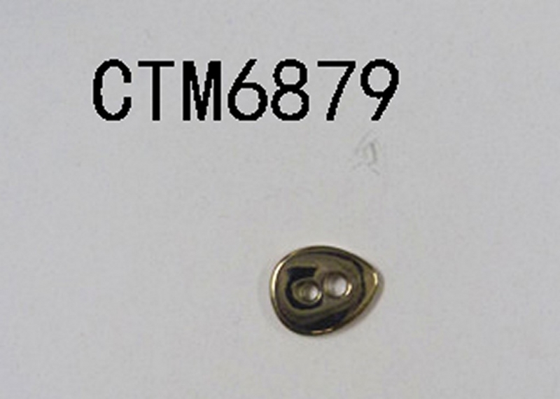 CTM6879