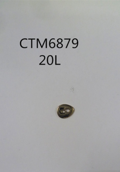 CTM6879