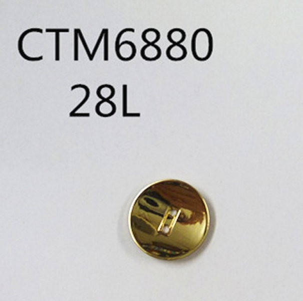 CTM6880