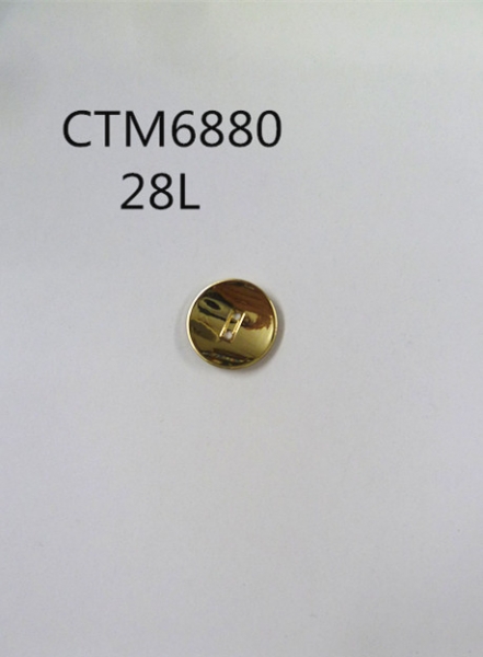 CTM6880