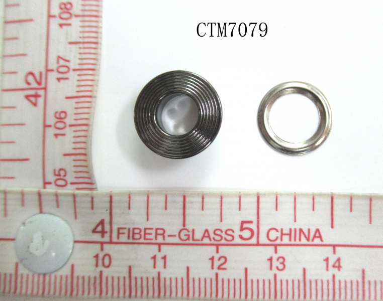 CTM7079