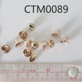 CTM0089