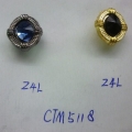 CTM5118