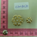 CTM6020