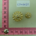 CTM6021