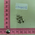 CTM6028