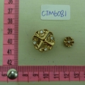CTM6081