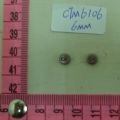 CTM6106