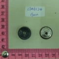 CTM6124