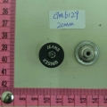 CTM6129