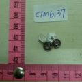 CTM6137