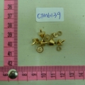 CTM6139
