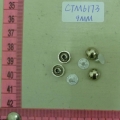 CTM6173
