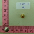 CTM6213
