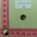 CTM6218