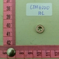 CTM6220