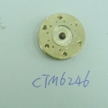 CTM6246