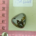 CTM6248