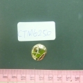 CTM6250