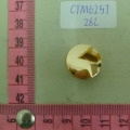 CTM6257