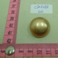 CTM6258